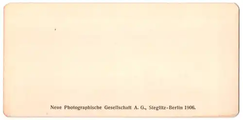 Stereo-Fotografie NPG, Berlin-Steglitz, Ansicht Nyon, Le Chateau