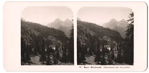 Stereo-Fotografie NPG, Berlin-Steglitz, Ansicht Schachensee, Naturidylle mit Alpenspitze