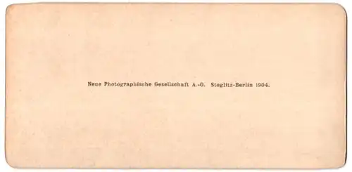 Stereo-Fotografie NPG, Berlin-Steglitz, Ansicht Wien, Rathauspark mit Statuen