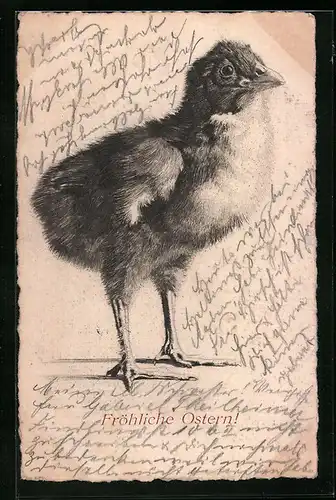 AK Fröhliche Ostern, Osterküken