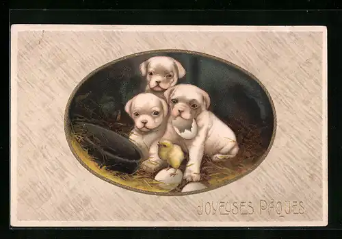AK Hunde mit Osterküken, Joyeuses Paques