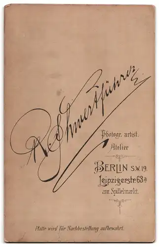 Fotografie R. Schwertführer, Berlin, Leipzigerstr. 63 a, Junge Dame im modischen Kleid