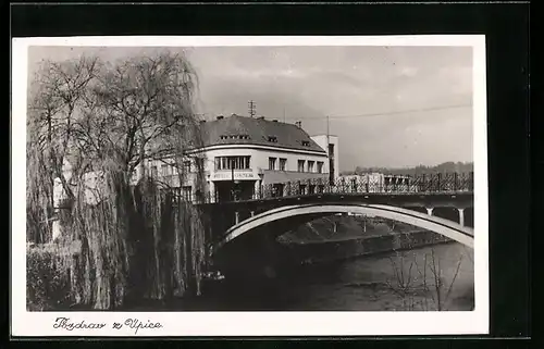 AK Upice, Gebäude und mächtige Weide an einer Brücke