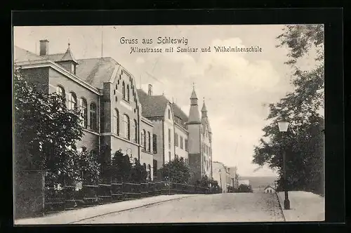 AK Schleswig, Alleestrasse mit Seminar und Wilhelminenschule