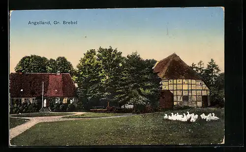 AK Gr. Brebel /Angelland, Ortspartie mit Fachwerkhaus und Gänseschar