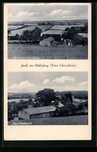AK Wolfskrug / Güby, Blick vom Tütenberg, Dorf Fellhorst