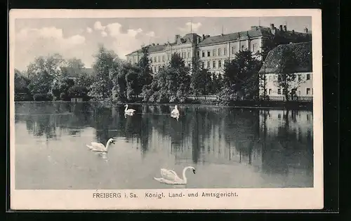 AK Freiberg i. Sa., Königl. Land u. Amtsgericht