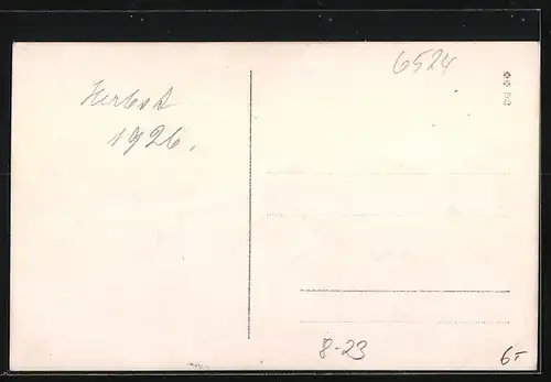 Foto-AK Weinpflücker und Herr im Anzug auf Weinfeld