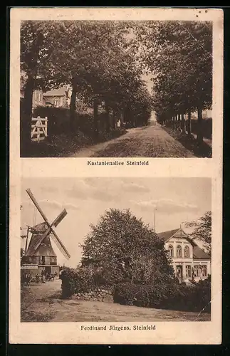 AK Steinfeld, Kastanienallee u. Windmühle