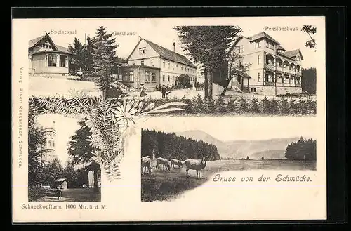 AK Schmücke, Gasthaus, Pensionshaus, Speisesaal