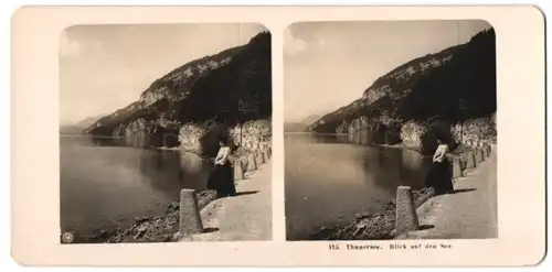 Stereo-Fotografie NPG, Berlin-Steglitz, Ansicht Thunersee, Strasse am Seeufer