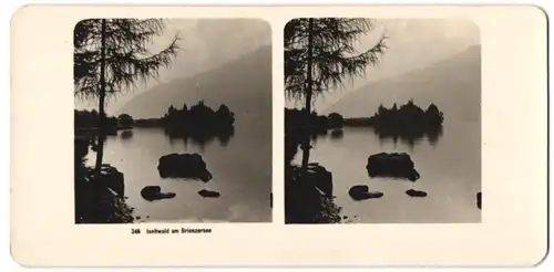 Stereo-Fotografie unbekannter Fotograf, Ansicht Iseltwald / Brienzersee, Naturidylle am Seeufer