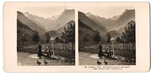 Stereo-Fotografie NPG, Berlin-Steglitz, Ansicht Spielmannsau, gegen Sperrbachtobel, Kratzer & Trettachspitze