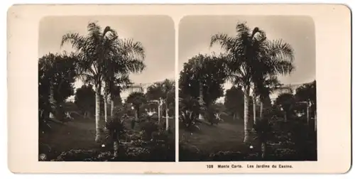 Stereo-Fotografie NPG, Berlin-Steglitz, Ansicht Monte Carlo, Les Jardins du Casino