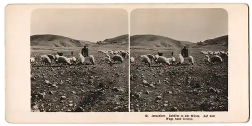 Stereo-Fotografie NPG, Berlin-Steglitz, Ansicht Jerusalem, Schäfer in der Wüste auf dem Weg nach Jericho