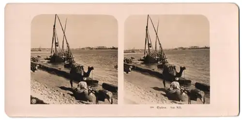 Stereo-Fotografie NPG, Berlin-Steglitz, Ansicht Kairo / Cairo, Beduine mit Kamel nebst Boot am Nil-Ufer
