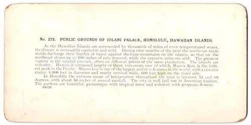 Stereo-Fotografie unbekannter Fotograf, Ansicht Honolulu / Hawaii, Iolani-Palast, öffentlicher Park