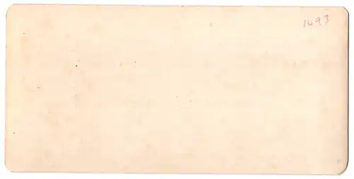 Stereo-Fotografie NPG, Berlin-Steglitz, Ansicht Zürich, Hof des Landesmuseum's