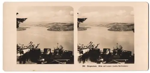 Stereo-Fotografie NPG, Berlin-Steglitz, Ansicht Bürgenstock, Blick auf Luzern & Hertenstein