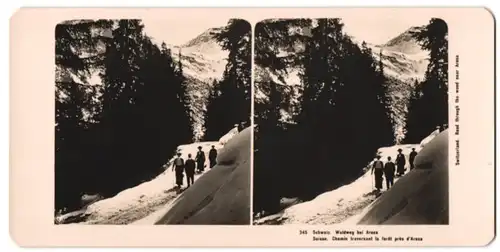 Stereo-Fotografie NPG, Berlin-Steglitz, Ansicht Arosa, Wanderer auf einem Waldweg im Gebirge