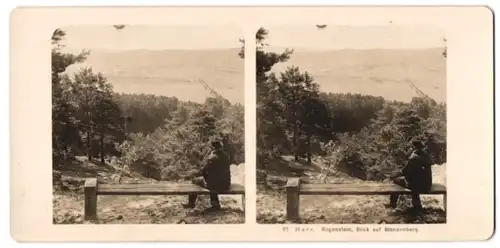 Stereo-Fotografie NPG, Berlin-Steglitz, Ansicht Blankenburg / Harz, Panorama vom Regenstein gesehen
