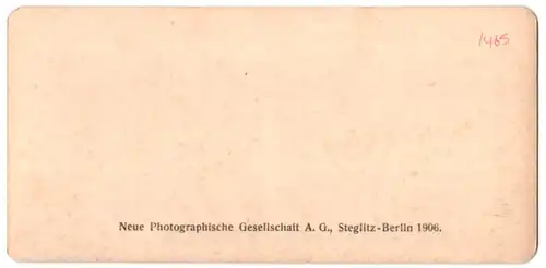 Stereo-Fotografie NPG, Berlin-Steglitz, Ansicht Bern / Berne, Heilige Geistkirche