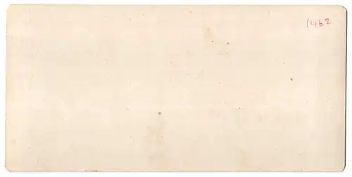Stereo-Fotografie NPG, Berlin-Steglitz, Ansicht Bern / Berne, Münster Seitenansicht