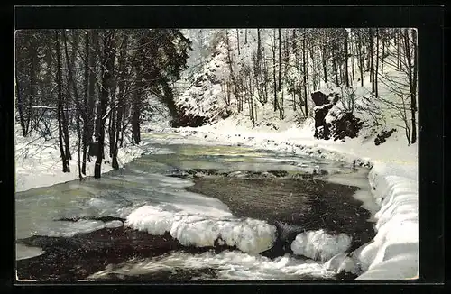 Künstler-AK Photochromie Nr. 1493: Winteridylle am Fluss