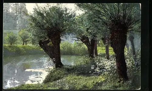 Künstler-AK Photochromie Nr. 1727: Landschaftsidylle am Flussufer