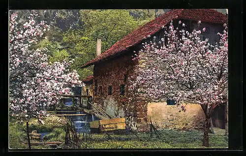 Künstler-AK Photochromie Serie 143, Nr. 2692: alte Wassermühle zur Obstblüte in Tirol