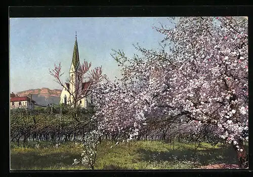 Künstler-AK Photochromie Serie 143, Nr. 2698: Tiroler Kirche während der Obstblüte