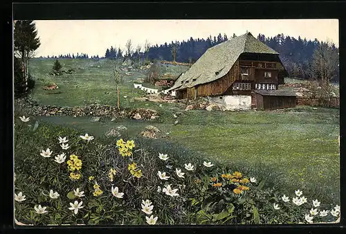 Künstler-AK Photochromie Serie 167, Nr. 2989: Triberg, altes Bauernhaus im Schwarzwald