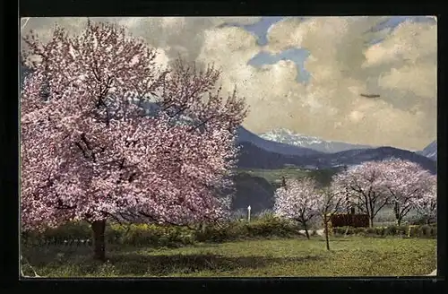 Künstler-AK Photochromie Serie 144, Nr. 2704: Landschaftsbild während der Obstblüte