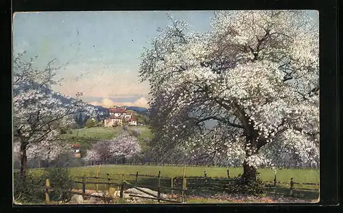 Künstler-AK Photochromie Serie 143, Nr. 2695: Obstblüte in Tirol, Blick auf eine Ortschaft