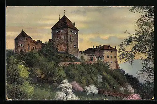 Künstler-AK Photochromie Serie 145, Nr. 2723: Schloss-Ansicht während der Tiroler Obstblüte