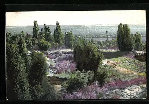 Künstler-AK Photochromie Nr. 1687: Landschaftsidyll mit bunt blühenden Feldern