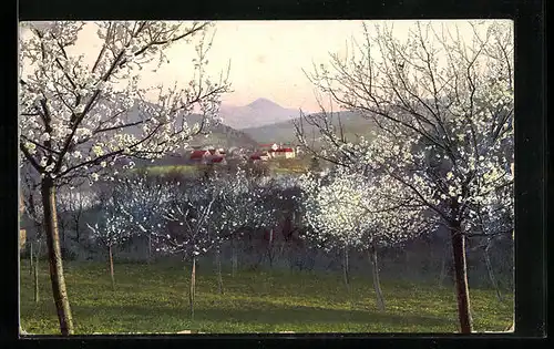 Künstler-AK Photochromie Serie 229, Nr. 3726: Blick auf eine Ortschaft während der Baumblüte