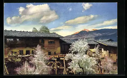 Künstler-AK Photochromie Serie 145, Nr. 2722: altes Bauernhaus während der Tiroler Obstblüte