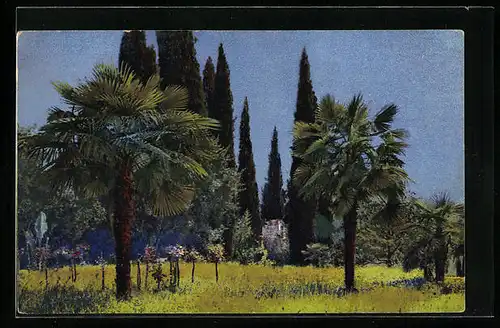 Künstler-AK Photochromie Serie 71, Nr. 1848: Palmengarten mit hochgewachsenen schlanken Tannen