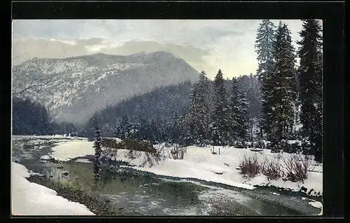 Künstler-AK Photochromie Nr. 1794: Winteridylle am Fluss