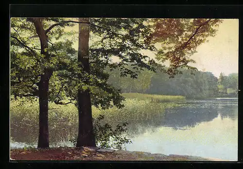 Künstler-AK Photochromie Serie 335, Nr. 4946: Idylle an einem Seeufer