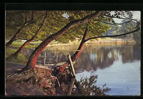 Künstler-AK Photochromie Serie 156, Nr. 2853: Idylle an einem Seeufer