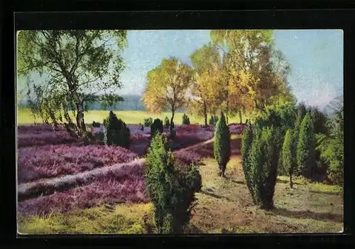 Künstler-AK Photochromie Nr. 549: Landschaftsbild mit bunt blühenden Feldern