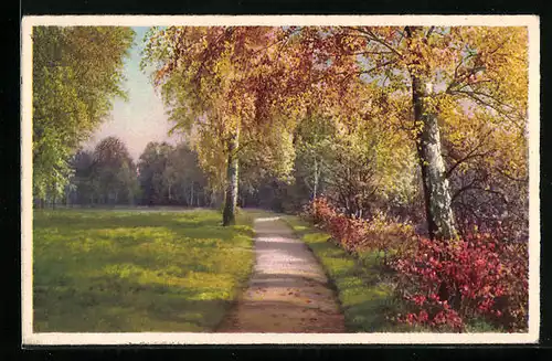 Künstler-AK Photochromie Nr. 4572: Allee mit Bäumen in Herbstfarben