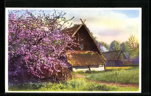 Künstler-AK Photochromie Nr. 583: altes Bauernhaus während der Baumblüte
