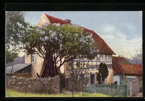 Künstler-AK Photochromie Nr. 1195: schönes Haus mit Fliederbaum