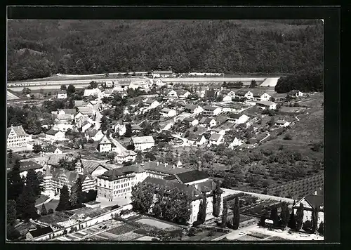 AK Hegne am Bodensee, Totalansicht der Ortschaft