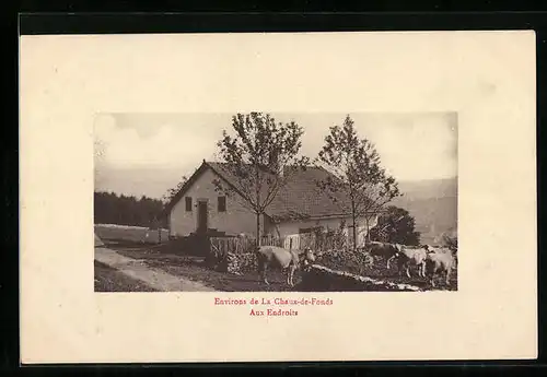 AK La Chaux-de-Fonds, Aux Endroits