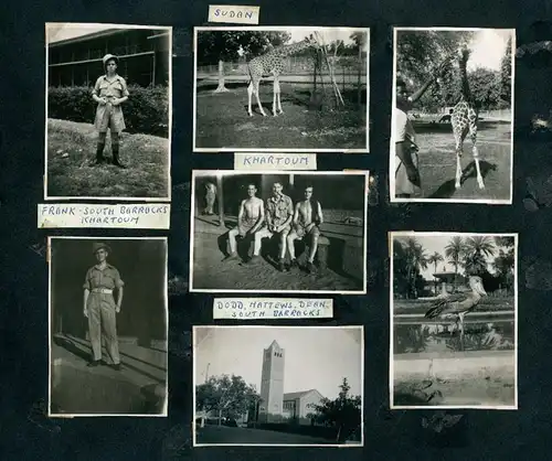Fotoalbum mit 228 Fotografien, 8 Bat. Royal Warwickshire Rgt. in Ost-Afrika, Palestina, Ägypten, Jerusalem, Soldaten