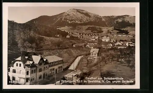 AK Grünbach, Gasthof zur Schubertlinde mit Ortsansicht aus der Vogelschau